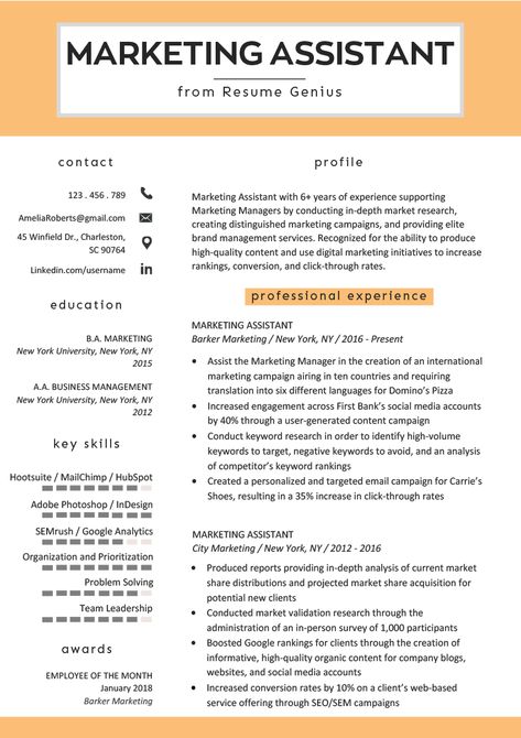 Marketing Cv Examples, Marketing Resume Examples, Genius Marketing, Perfect Resume Example, Job Affirmations, Teacher Cv, Marketing Assistant, Marketing Resume, Fordham University