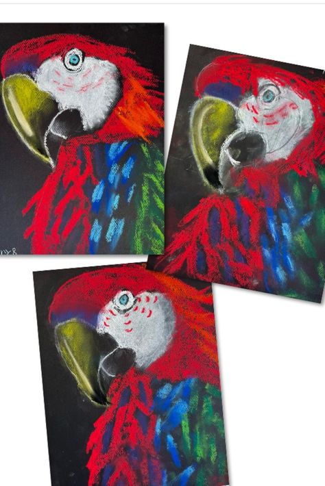 These vibrant chalk pastel parrots were created by kids ages 6-9! They did a fabulous job! Visit the link to see more, and follow for more art ideas for kids and beginners. Paintings On Black Paper, Chalk Pastel Art, Parrot Painting, Parrots Art, Chalk Pastel, Jr Art, Art Lessons For Kids, Chalk Pastels, Middle School Art