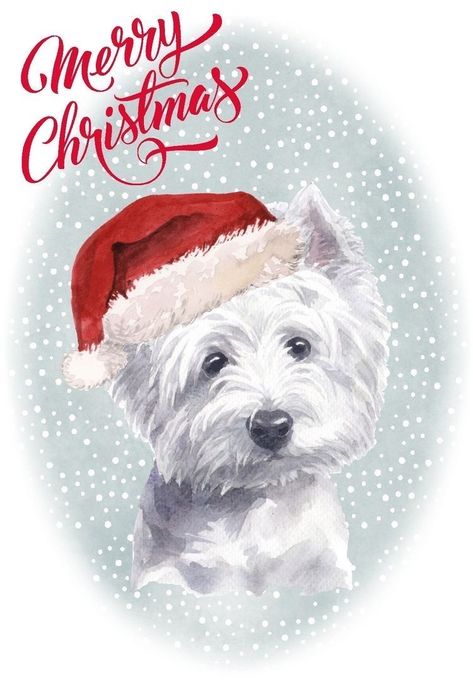 Westie Christmas, Westie Dog, Westie Puppies, Dog Christmas Card, Christmas Scenery, Whippet Dog, Westie Dogs, Yorkie Dogs, West Highland White