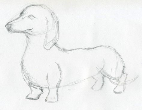 Dachshund Painting, Dog Drawing Simple, Cute Dog Drawing, Easy Animal Drawings, Dachshund Art, Dog Sketch, 강아지 그림, Easy Drawings Sketches, Cute Doodles Drawings