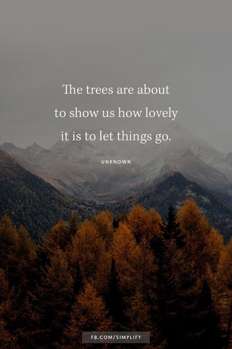 Let Things Go, Letting Go Quotes, Vibe Quote, Happy October, Garden Quotes, Autumn Quotes, Fall Feels, Nature Quotes, Show Us