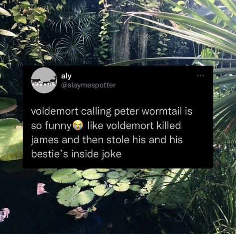 Marauders Tweets, Marauders Fan Art, Peter Pettigrew, Harry Potter Headcannons, All The Young Dudes, Harry Potter Marauders, Marauders Era, Mischief Managed, James Potter