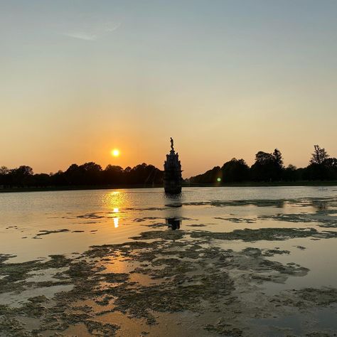 Bushy Park tonight #bushypark #teddington #hamptonwick #royalparks #sunset #sunsetphotography #london #londonist #londoner Bushy Park, Uk Nature, September 16, Sunset Photography, The Hamptons, London, On Instagram, Instagram, Nature