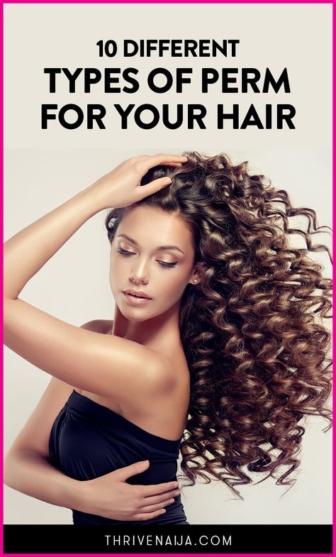 Did you know there are about 10 or more different types of perms? Here they are! Best Perms, Perm Types, Big Curl Perm, Loose Spiral Perm, Perm Long Hair, Spiral Perm Long Hair, Different Types Of Perms, Spiral Perms, Loose Curl Perm