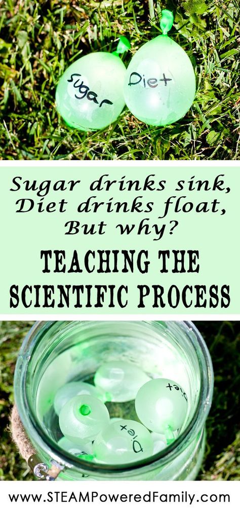 With this activity we are teaching the scientific process and encouraging kids to use inquiry based activities to prove theories.  via @steampoweredfam Scientific Method Experiments, Balloon Science Experiments, Middle School Health, Scientific Process, Projects School, Summer Science, 7th Grade Science, Nutrition Sportive, 4th Grade Science