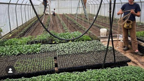 A high tunnel hoop house can be partially dedicated to in-ground planting, and part to heated dedicated seed starting or propagation. High Tunnel Greenhouse, Planting Layout, House Heater, High Tunnel, Tunnel Greenhouse, Hoop House, Cold Frames, Garden 2023, Greenhouse Plants