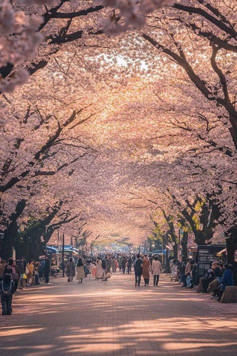 "🌸🏯 Experience the charm of Ueno Park in Tokyo! Stroll through lush gardens, visit museums, and enjoy seasonal cherry blossoms in this historic urban park. 🌳🗼 #UenoPark #Tokyo #CherryBlossoms" Ueno Park Tokyo, Tokyo Aesthetic, Japan Temple, Ueno Park, Urban Park, Pretty Landscapes, Japan Aesthetic, Lush Garden, Green Space