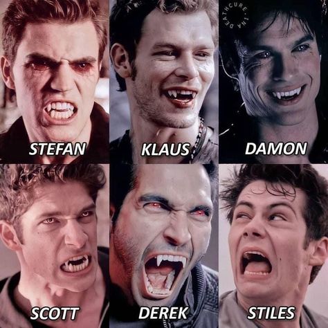 Vampire Diaries Season 7, Teen Wolf Poster, Teen Wolf Werewolf, Teen Wolf Fan Art, Klaus The Originals, Fandom Quotes, Teen Wolf Memes, Teen Wolf Funny, Teen Wolf Mtv