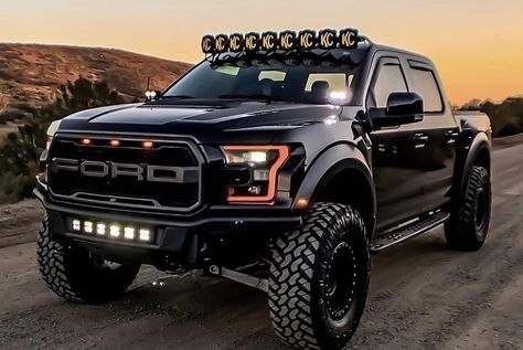 Ford Raptor Black Ford Raptor, Ford Raptor Truck, Aesthetic Car Accessories, Raptor Truck, Car Builds, Мотоциклы Harley Davidson, Tokyo Drift Cars, Hd Photography, Ford Trucks F150