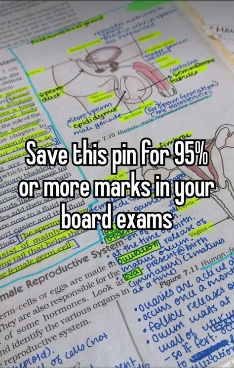 #study #academics #95% #academicvalidation #academia #marks #academicyear #studentyear #book #science 10th Board Exam Tips, Lines In Books, 10th Boards, Aesthetic Notes Study Inspiration, School Manifestation, Geography Notes, 8th Grader, Smart Study, Studie Hacks