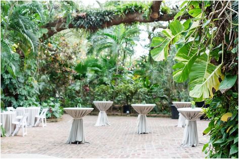 Sunken Gardens Wedding Photos | Nikki Matt | Brittany Pannebaker Sunken Gardens Wedding, St Petersburg Florida, Sunken Garden, Wedding Officiant, Wedding Catering, Butterfly Garden, Tropical Wedding, Tropical Paradise, Tropical Plants