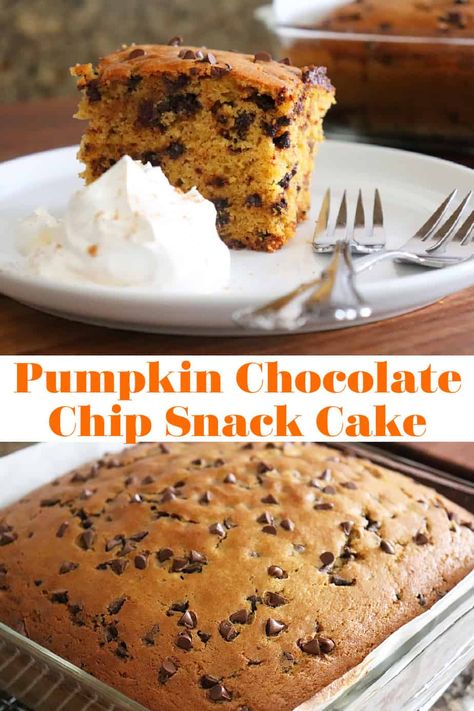 Pumpkin Chocolate Chip Snack Cake - AimeeStock.com Chocolate Chip Pumpkin Cake, Pumpkin Chocolate Chip Bundt Cake, Chocolate Chip Snack Cake, Cherry Yum Yum Recipe, Pumpkin Snack Cake, Pumpkin Chocolate Chip Cake, Cherry Yum Yum, Food For Company, Yum Yum Recipe