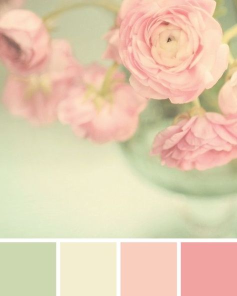 vintage rose green cream palettes - Google Search Pink Green Bedrooms, Green Girls Rooms, Vintage Girls Rooms, Pastel Bathroom, Color Bathroom Design, Vintage Wedding Colors, Girls Room Colors, Shabby Chic Colors, Pink Paint Colors