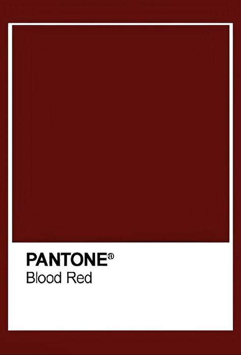 Maroon Color Palette, Pantone Red, Blood Red Color, Color Tips, Pantone Colour Palettes, Cherry Red Color, Bordeaux Color, Stunning Hairstyles, Red Colour Palette