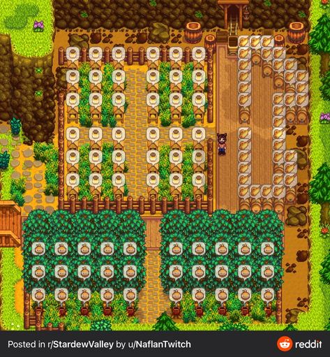 Beach Farm, Stardew Farms, Stardew Valley Layout, Stardew Valley Tips, Stardew Valley Farms, Valley Game, Stardew Valley Fanart, Farm Layout, Farm Design