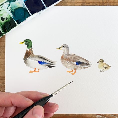 Paint watercolor animals, flowers and birds over on my youtube channel ‘de Winton Paper co’ click the link to watch this loose watercolour simple ducks and ducklings tutorial. #watercolour #ducks #ducklings #learntowatercolour #painting Watercolour Simple, Painting On Water, Duck Painting, Loose Watercolour, Bird Watercolor Paintings, Animals Flowers, Painting Water, Art Tutorials Watercolor, Watercolor Beginner