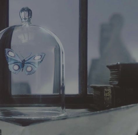 Blue Butterfly Corpse Bride, Corpse Bride Butterfly, Corps Bride, Aesthetic Animation, Corpse Bride Movie, Corpse Bride Art, Wonderland Aesthetic, Alice In Wonderland Aesthetic, Corpse Bride