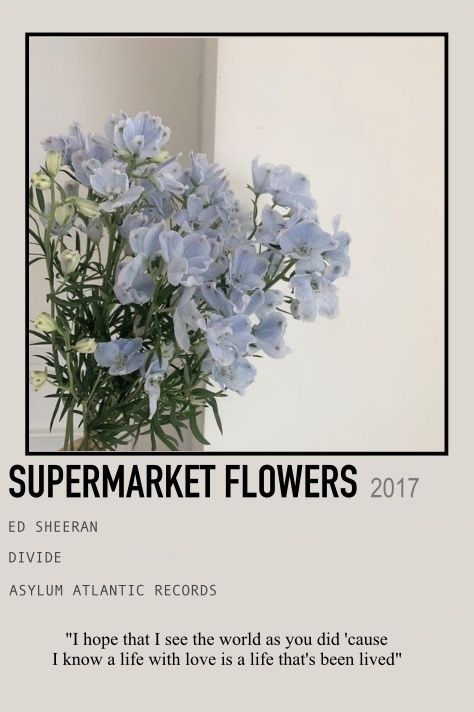 Supermarket Flowers Lyrics, Supermarket Flowers Ed Sheeran, Ed Sheeran Poster, Supermarket Flowers, Song Posters, Book Wall, Atlantic Records, Wall Posters, Ed Sheeran