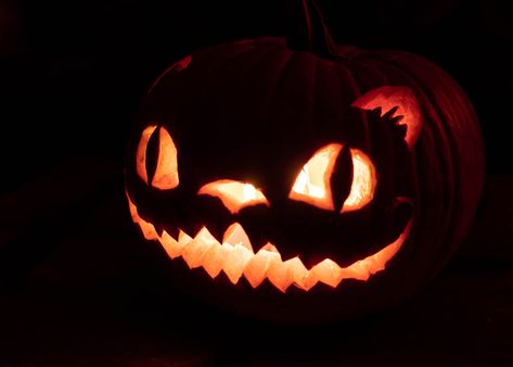 Purr-Fect Cat Pumpkin Carving Ideas Cat Pumpkin Carving Ideas, Cat Pumpkin Carving, Cat Carving, Creepy Cat, Pumpkin Carving Ideas, Halloween Pumpkin Designs, Lantern Ideas, Cat Pumpkin, Carving Ideas