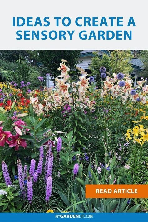 Garden Ideas For Small Yards, Sensory Gardens, Horticulture Therapy, Serenity Garden, Creative Garden Decor, Bushes And Shrubs, Sensory Garden, Best Bedroom, Children's Garden