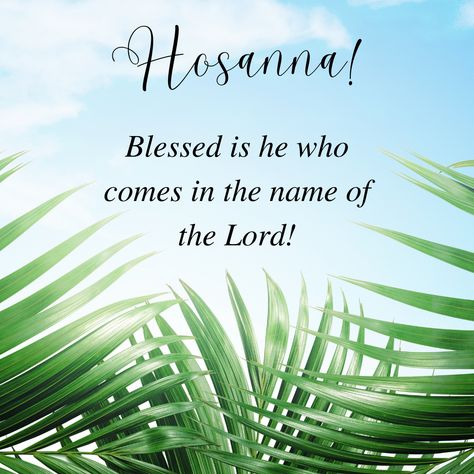 Blessed Palm Sunday, Happy Palm Sunday, Hosanna In The Highest, Sunday Photos, 30 Day Drawing Challenge, Baby Feeding Schedule, Resurrection Day, Slide Background, Home Health Remedies