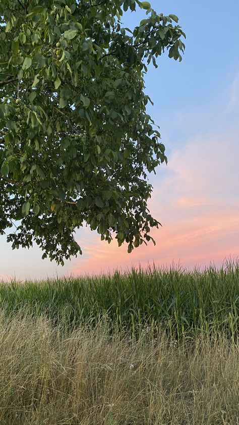 Germany Summer Aesthetic, Germany Aesthetic Summer, Slow Summer Aesthetic, Warm Summer Aesthetic, Summer In The Country, Summer In The South, Germany Summer, Faerie Aesthetic, South Germany