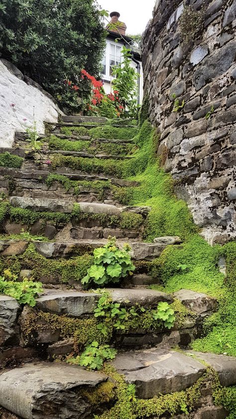 Stairs In The Woods, Cottage Stairs, Studio Background Ideas, Stairs To Heaven, Atmospheric Photo, Stone Steps, Stone Stairs, Cottage Aesthetic, Wallpaper Earth