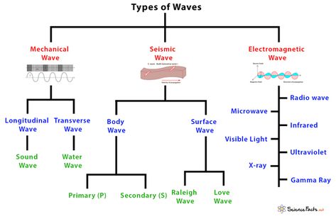 Types of Waves: Characteristics and Examples Types Of Waves Science, Seismic Waves Activity, Waves In Physics, Thermodynamics Chemistry, Optics Physics, Physics Waves, Types Of Engine, Substitute Teacher Tips, Seismic Waves