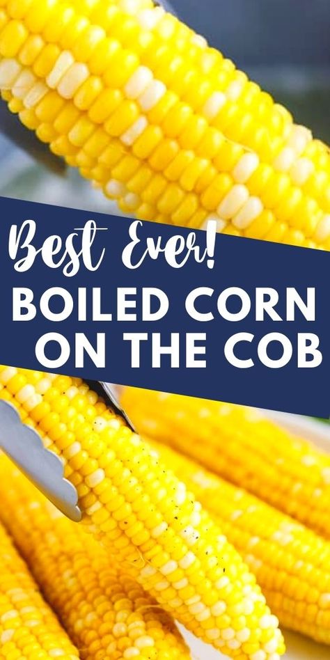 Best Corn On Cob Recipe, Boiling Corn On The Cob With Milk, Corn On Cob Stovetop, Cook Fresh Corn On The Cob, Corn On The Con Boiled, Best Corn On The Cob Recipe Boil, Best Boiled Corn On The Cob Recipe, Cook Corn On The Cob On The Stove, Corn In The Cob Boiled