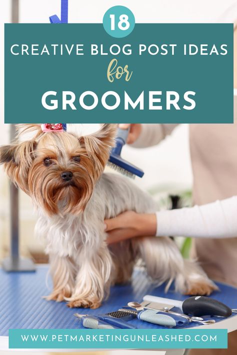 18 Creative Blog Post Ideas for Groomers | Pet Marketing Unleashed Dog Grooming Marketing Ideas, Dog Grooming Social Media Posts, Pet Marketing, Pet Grooming Business, Grooming Ideas, Dog Marketing, Dog Soap, Grooming Business, Get Instagram Followers