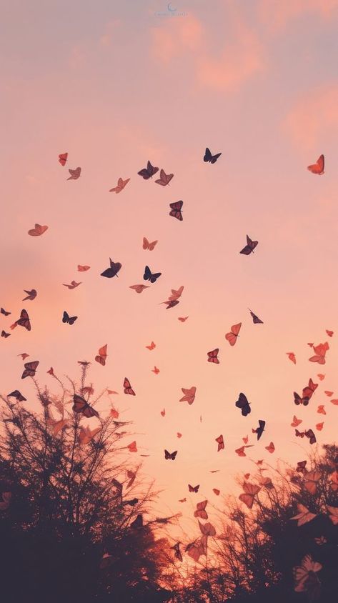 Butterflies flying through a pink sky outdoors nature flock. | premium image by rawpixel.com Flying Aesthetic, Lots Of Butterflies, Animal Migration, About Butterflies, Butterflies Flying, Animal Wildlife, Pink Sky, Flocking, Butterflies