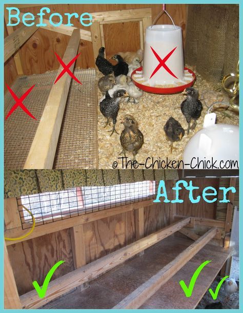 Raise roosts and add a droppings board. Roosts can also be wall-mounted versus a ladder style roost system that attaches to the floor. Adding a suspended droppings board beneath the roosts creates clean, usable floor space. Pallet Backyard, Decorating Backyard, Coop Layout, Inside Chicken Coop, Chicken Perches, Coop Decor, Oasis Backyard, Chicken Roost, Gardening Backyard