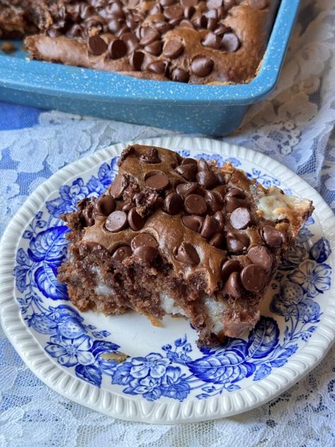 CHOCOLATE EARTHQUAKE CAKE - The Southern Lady Cooks Earthquake Cake Recipe, Earthquake Cake Recipes, Do Nothing Cake, Earthquake Cake, The Southern Lady Cooks, Southern Lady Cooks, Turtle Cake, Southern Lady, Best Chocolate Cake