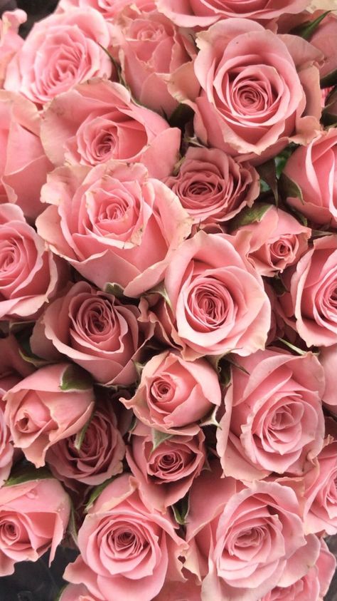 #background#wallpaper#phonebackground#phonewallpaper#screensaver#flowers#roses#pink#feminine#pretty Iphone Wallpaper Purple Flower, Flower Screensaver, Pink Rose Pictures, Iphone Screen Savers, Rose Pink Wallpaper, Feminine Wallpaper, Pink Roses Background, Pink Feminine, Pink Flowers Background