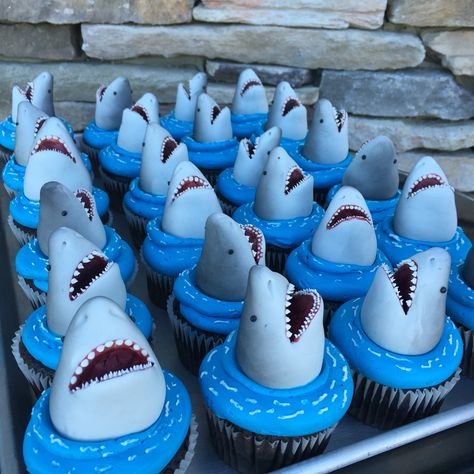 Jaws Cupcakes, Cute Shark Cake, Stranger Cake, Shark Cake Pops, Shark Themed Food, Shark Cakes, Computer Cake, Shark Cupcakes, Shark Birthday Cakes