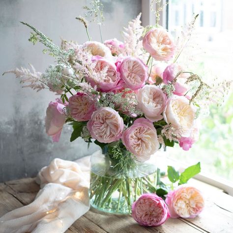 Constance Rose, Pink Piano, Pale Pink Roses, Types Of Roses, Flower Company, David Austin Roses, Pink Garden, David Austin, Pink Petals