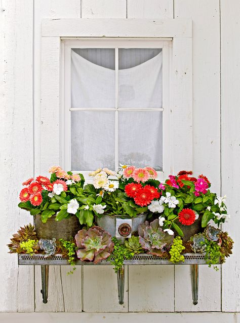 Flower Boxes Window, Plant Recipes, Window Box Garden, Garden Therapy, Zen Garden Design, Sun Loving Plants, Rustic Window, Garden Parasols, Rustic Flower