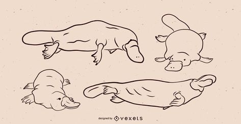 Platypus Illustration, Dinosaur Sketch, Funny Illustration, Platypus, Black Ink Tattoos, Love Illustration, White Set, Cute Animal Drawings, Animal Tattoos