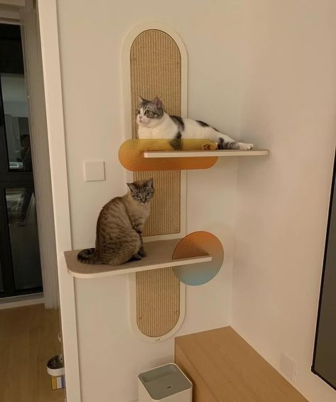 Cat Shelves Ideas, Stylish Cat Furniture, Cat Shelves Aesthetic, Cat Wall Shelves Corner, Cat Wall Furniture Target, Diy Cat Wall Shelves Catwalks, Cat Wall Shelves Catwalks, Cat Room Decor, Cats Diy Projects