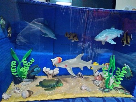 My son's "Ocean/Sea Animals" Diorama Shark Diorama, Ecosystems Diorama, Shark Habitat, Ocean Diorama, Biomes Project, Diorama Kids, Ecosystems Projects, Whale Crafts, Habitats Projects