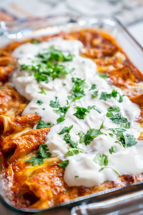 Easy Cheesy Black Bean Enchiladas?utm_source=12tomatoes Black Bean And Corn Enchiladas, Black Bean Corn Enchiladas, Black Bean And Cheese Enchiladas, Bean Enchilada Recipe, Bean And Cheese Enchiladas, Cheesy Enchiladas, Black Bean Enchiladas, Bean Enchiladas, Cheese Enchiladas