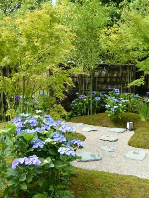 Hydrangeas bamboo acers Japanese garden at HCF 2016 Hydrangea Japanese Garden, Japanese Maple Landscape, 2023 Landscape, Hampton Court Flower Show, Vege Garden, Japanese Style Garden, Japanese Garden Ideas, Japanese Summer, Tiny Garden