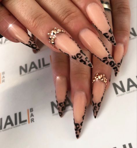 Stalitoes Nails Short, Leopard Print Nails Stiletto, Leapord Print Acrylic Nails Long, Stilleto Cheetah Nails, Leopard Print Stiletto Nails, Stiletto Nails Cheetah, Stiletto Leopard Nails, Cheetah Print Stiletto Nails, Nails Inspiration Leopard