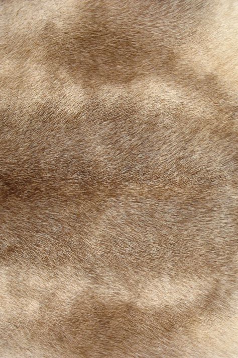 Fur Lion Skin, Fur Background, Fur Texture, Pink Wallpaper Backgrounds, Interior Architecture Drawing, Background Hd Wallpaper, Funny Phone Wallpaper, Macbook Wallpaper, Lion Art