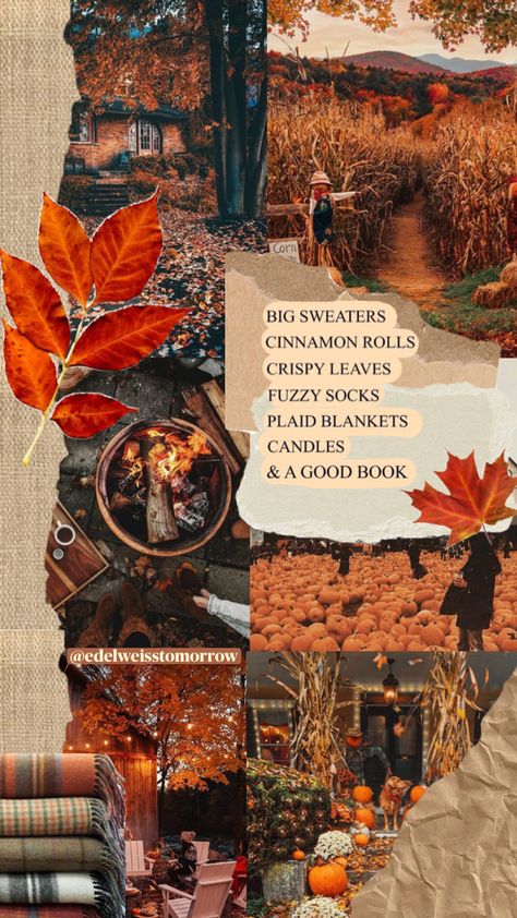 @edelweisstomorrow #autumn #fall #aesthetic #vintage #nature #vibes #books #wallpaper #art #quotes #pumpkin Fall Aesthetic Vintage, Autumn Fall Aesthetic, Books Wallpaper, Halloween Wallpaper Cute, Nature Vibes, Collage Book, Autumn In New York, Cute Fall Wallpaper, Iphone Wallpaper Fall