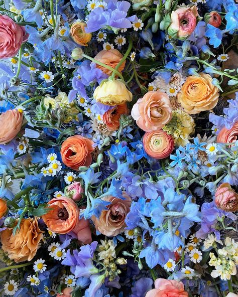 Playing with color theory to make these centerpieces pop! 🎨💐 Peach and orange ranunculus nestled in a sea of lavender sweet peas and light blue delphinium create a stunning, glowing contrast that’s both vibrant and harmonious. The warm tones of the roses energize the cool, calming hues of the stock, making this bouquet a true work of art. Perfect for the bold bride who loves to make a statement! #colortheory #sandiegoflorist #colorful #colorpalette Periwinkle And Orange, Light Blue Delphinium, Orange Ranunculus, Blue Delphinium, Blue Bouquet, Sweet Peas, Delphinium, Ranunculus, A Sea