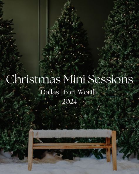 🎄It’s that time of the year 🎄 Our Christmas Mini Sessions are back. This time we are going to be using 5 different studio locations for your session. We also have some outdoor locations available for your session. The spots available are limited. Session Details: 🎄 8 images delivered 🎄 30 minutes session 🎄 Retainer required is $80 🎄 If you like to have more photos, there is a fee of $10 Don’t miss this opportunity, send us a message to book your Christmas Mini Session with us 🎄 Christmas Couch Mini Sessions, Christmas Tree Mini Session, Spring Mini Session Ideas, Christmas Mini Session Ideas Indoor, Outdoor Christmas Mini Sessions, Christmas Mini Photoshoot, Christmas Studio Photoshoot, Studio Christmas Mini Sessions, Christmas Mini Sessions Outdoor