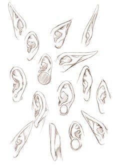 Drawing people (part 1) - Imgur Ear Shapes, Drawing Eyes, Drawing Hair, Anatomy Drawing, Guided Drawing, Drawing Lessons, Anatomy Art, Drawing Tutorials, Art Tutorials Drawing