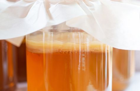 Kombucha is gaining popularity as a drink of choice not only for its delicious taste, but its health benefits too. Kombucha is chock full of probiotics and antioxidants. Many people believe that drinking kombucha daily Make Your Own Kombucha, Make Kombucha, Cultured Food, Homemade Soda, Black Tea Bags, Fermenting, Flavor Profiles, Preserving Food, Sweet Tea