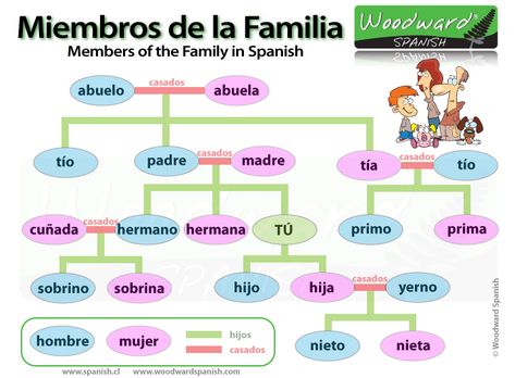 Most students know the Padre is Father in Spanish and Madre is Mother. But how do you say great grandfather in Spanish? Or how about Mother-in-law in Spanish, and no, it's not bruja .... yet you ma... Family In Spanish, Woodward English, Italian Vocabulary, Italian Lessons, English Vocab, English Fun, Spanish Vocabulary, English Activities, Spanish Classroom